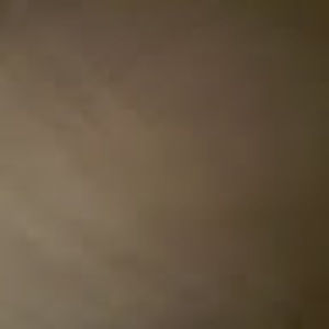 Meet your Posher, Topsy